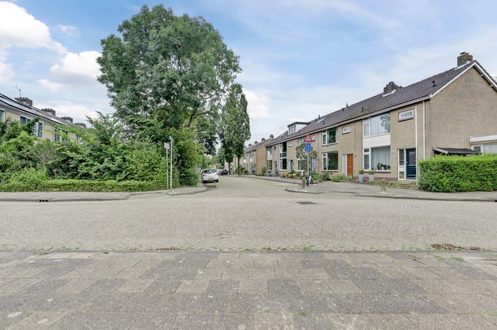 Foto 47 van van Dijckstraat 46