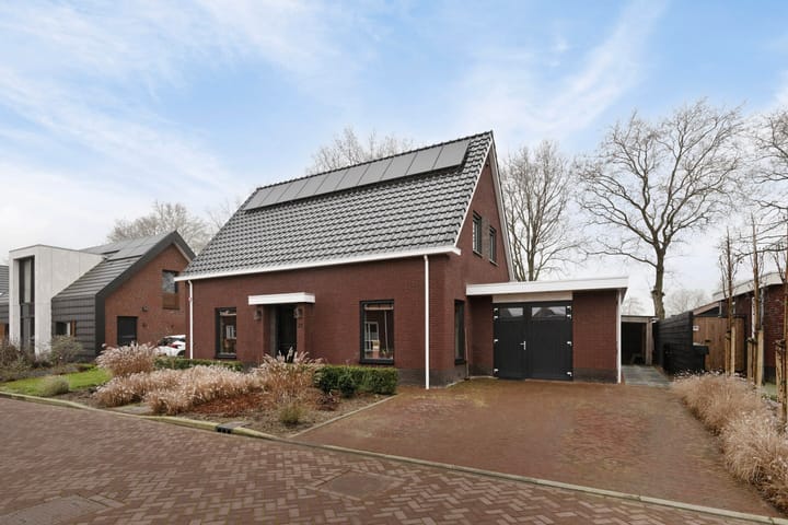 undefined main image