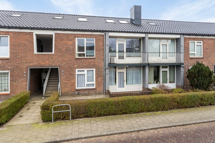 undefined main image