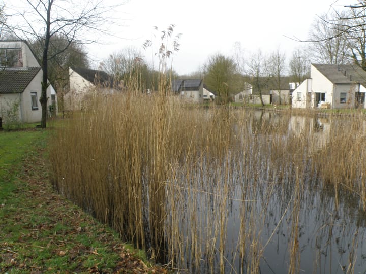 Foto 6 van Oude Antwerpsepostbaan 81-A11