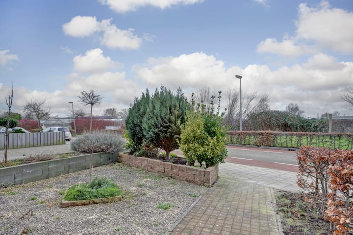 Foto 33 van Notarisappel 38