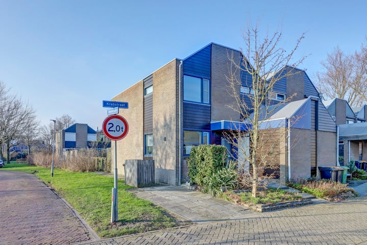 Bekijk foto van Krabstraat 29