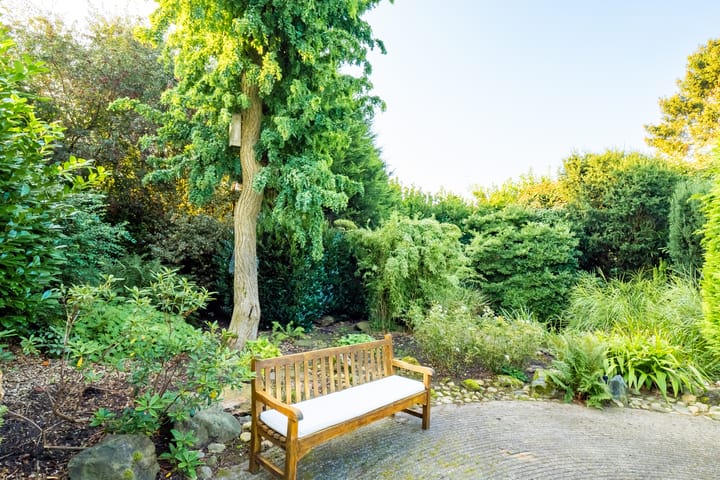 Foto 18 van Tuurdijk 17