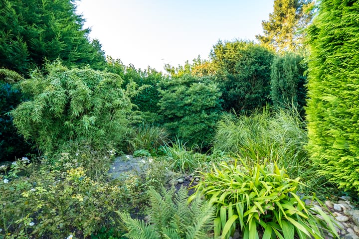 Foto 19 van Tuurdijk 17