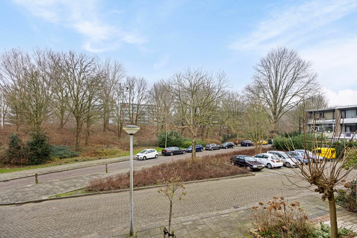 Foto 35 van Kruizemunthof 3