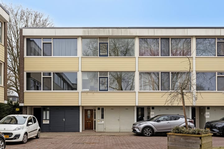 Foto 6 van Ypelobrink 226