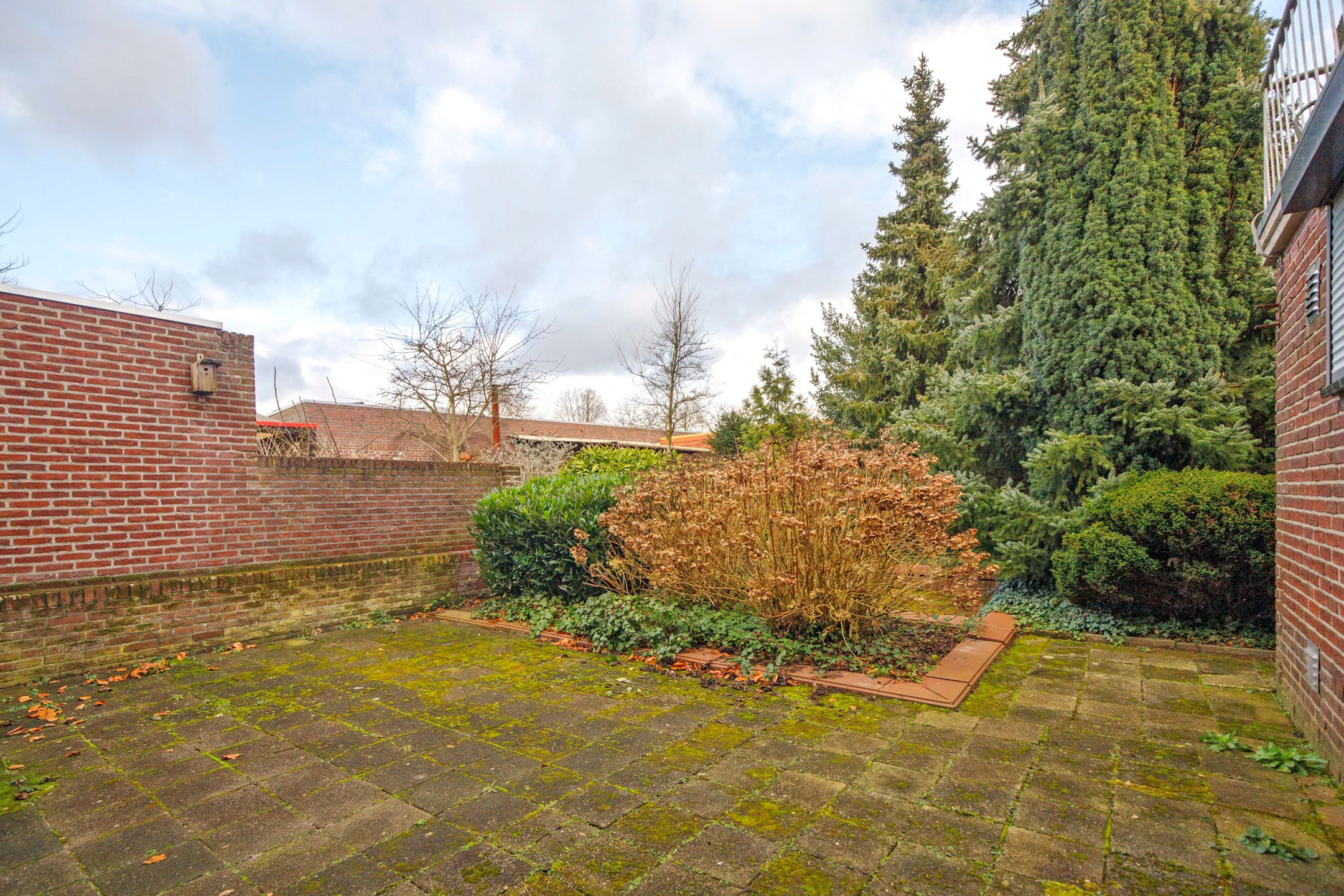 Foto 36 van Baarlosestraat 27