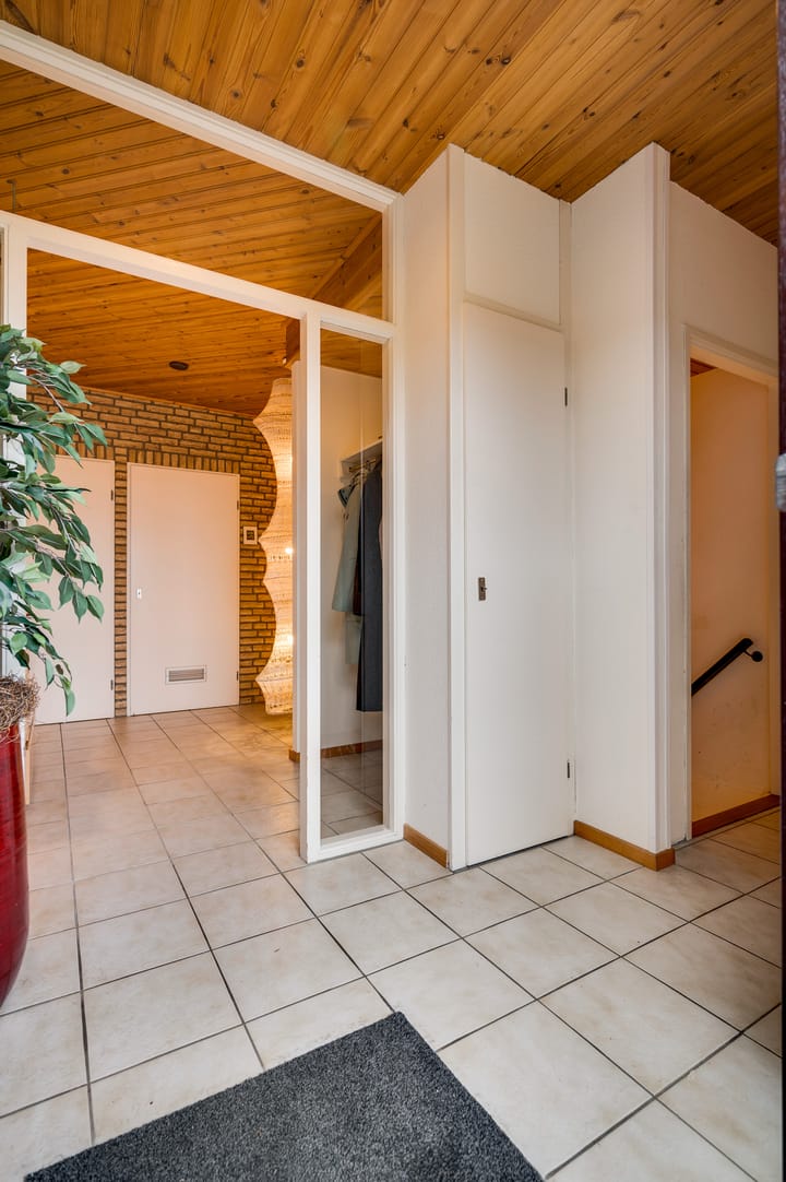 Foto 6 van Ranonkel 2