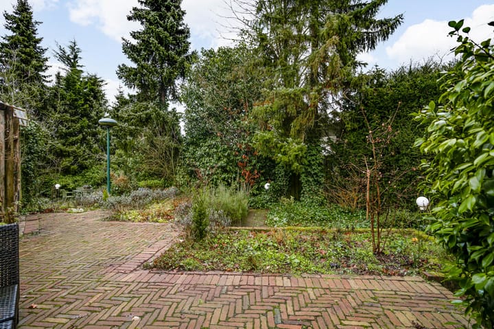 Foto 33 van Ranonkel 2