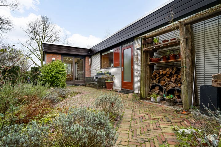 Foto 34 van Ranonkel 2