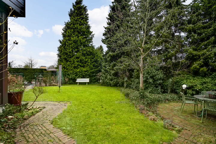 Foto 35 van Ranonkel 2