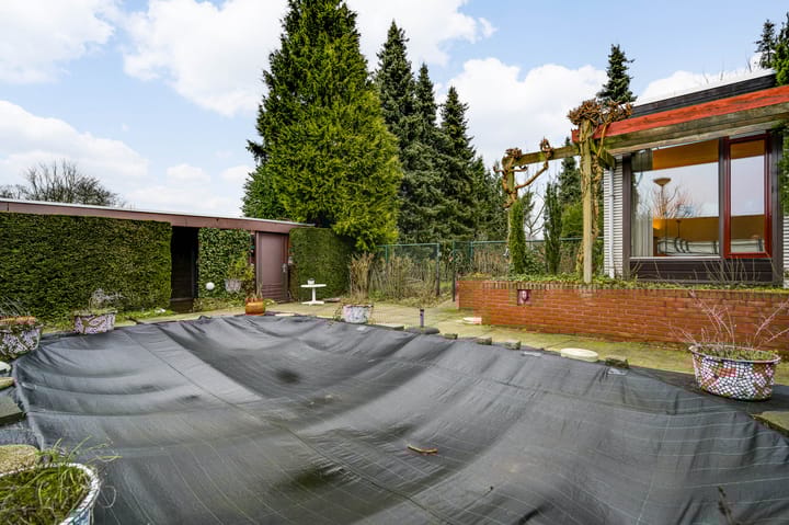 Foto 38 van Ranonkel 2