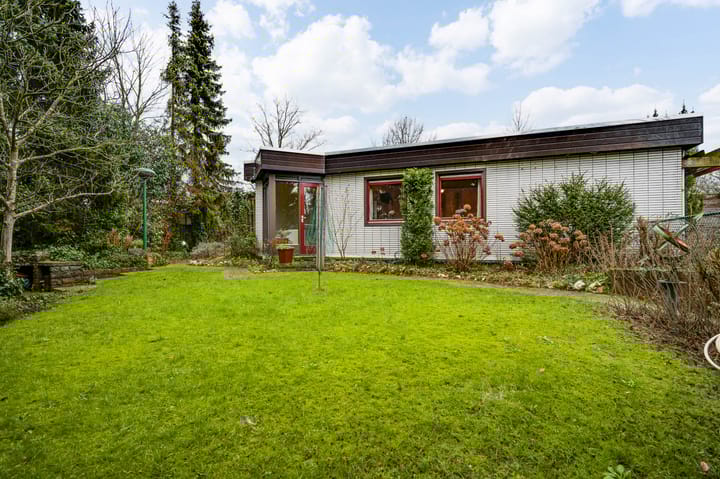 Foto 37 van Ranonkel 2