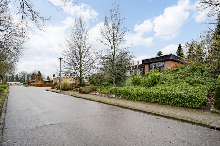 Foto 40 van Ranonkel 2