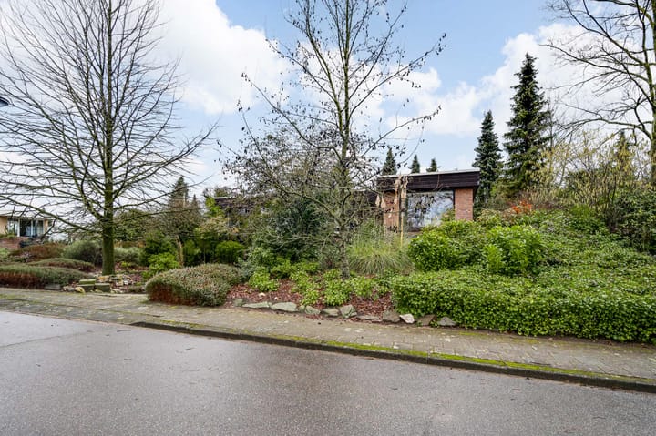 Foto 41 van Ranonkel 2