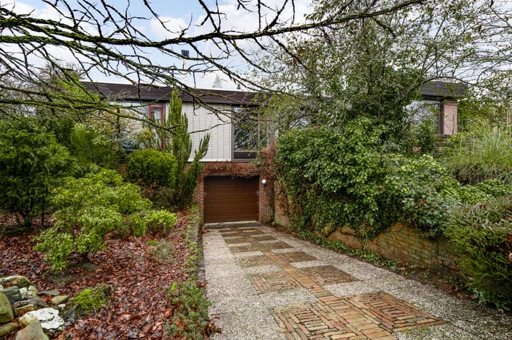 Foto 42 van Ranonkel 2