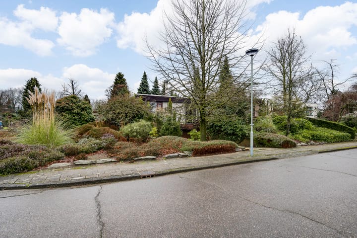 Foto 43 van Ranonkel 2