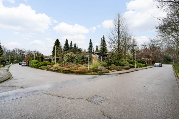 Foto 44 van Ranonkel 2