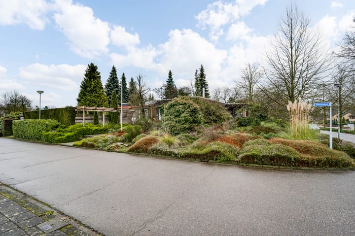 Foto 45 van Ranonkel 2