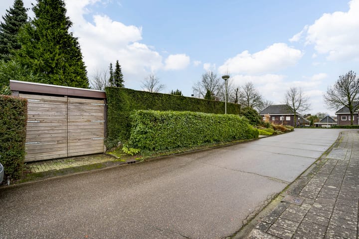 Foto 46 van Ranonkel 2