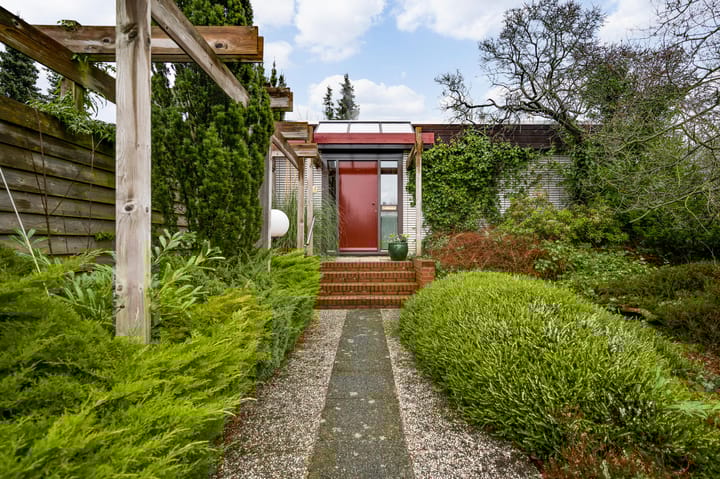 Foto 48 van Ranonkel 2