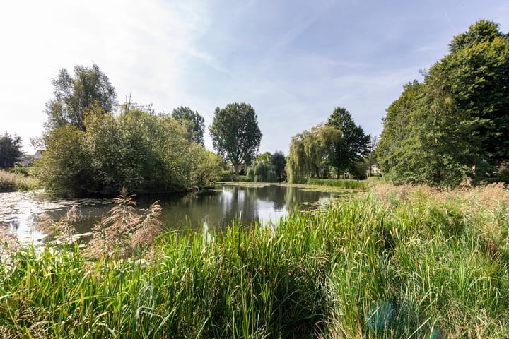 Foto 61 van Vlasweel 72