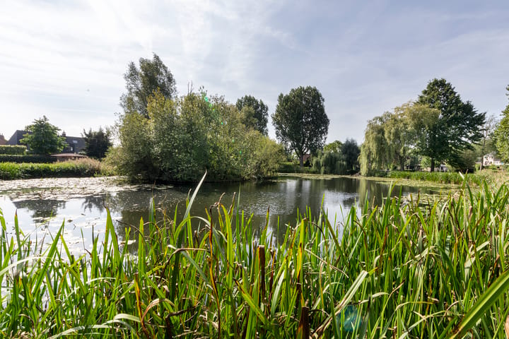 Foto 62 van Vlasweel 72