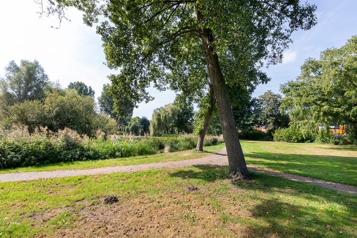 Foto 63 van Vlasweel 72