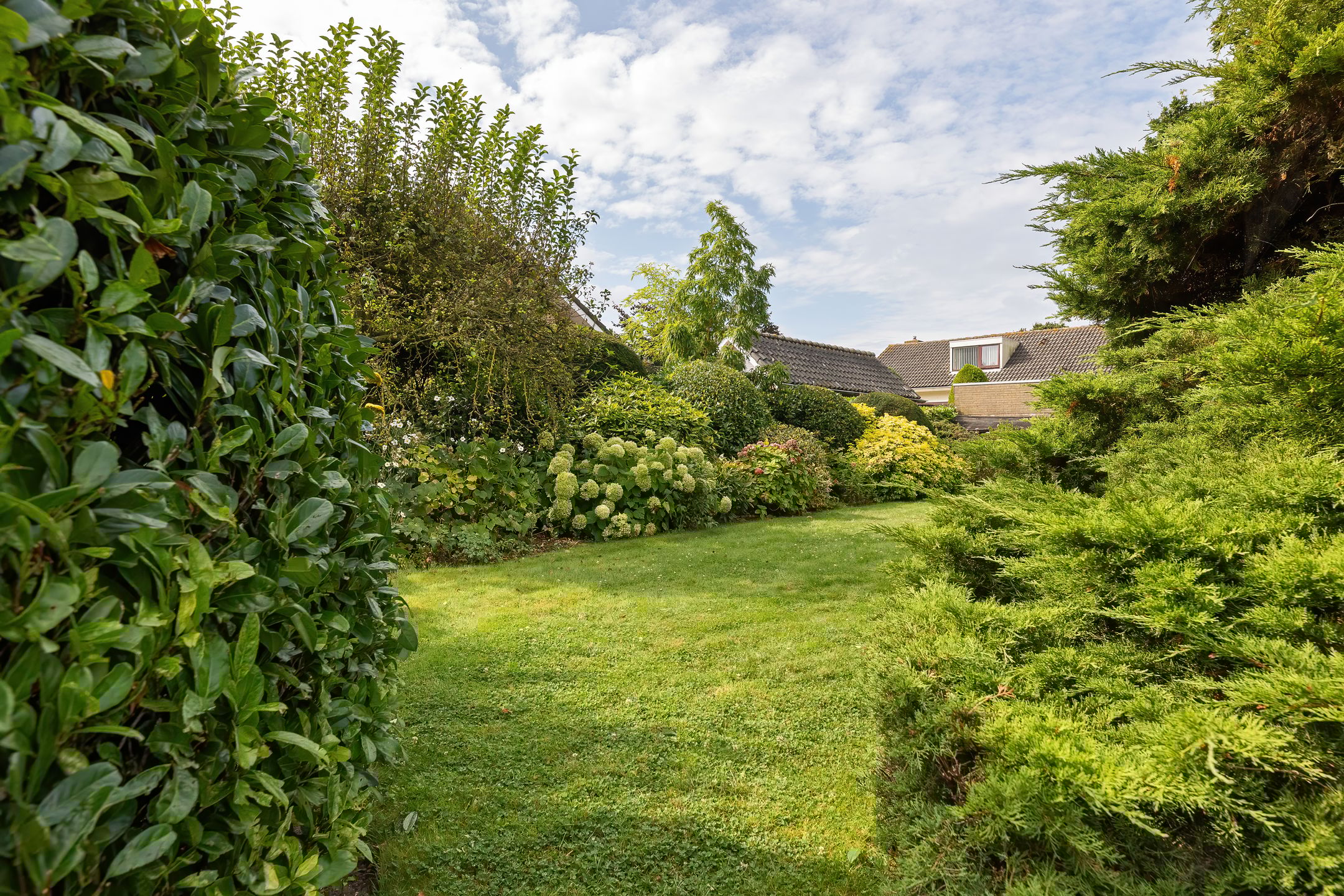 Foto 24 van De Savornin Lohmanlaan 59