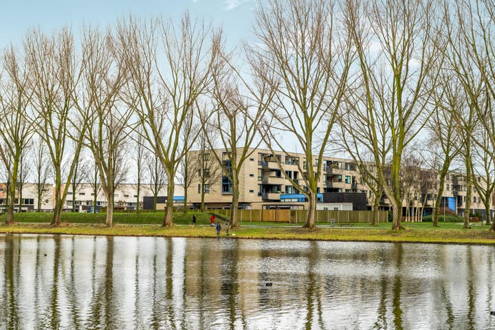 Foto 40 van Govert Flinckstraat 2