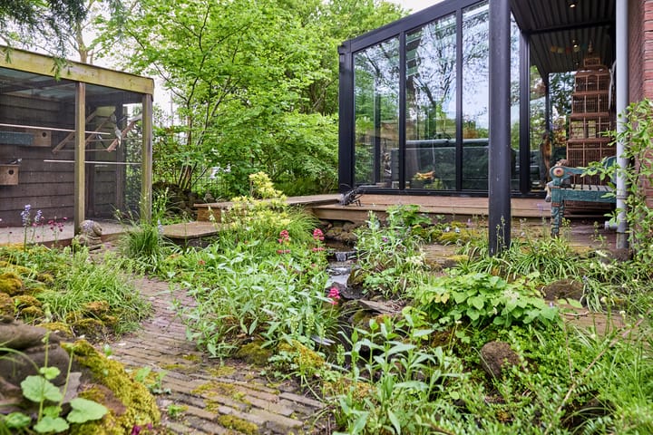 Foto 58 van Standaardmolen 1