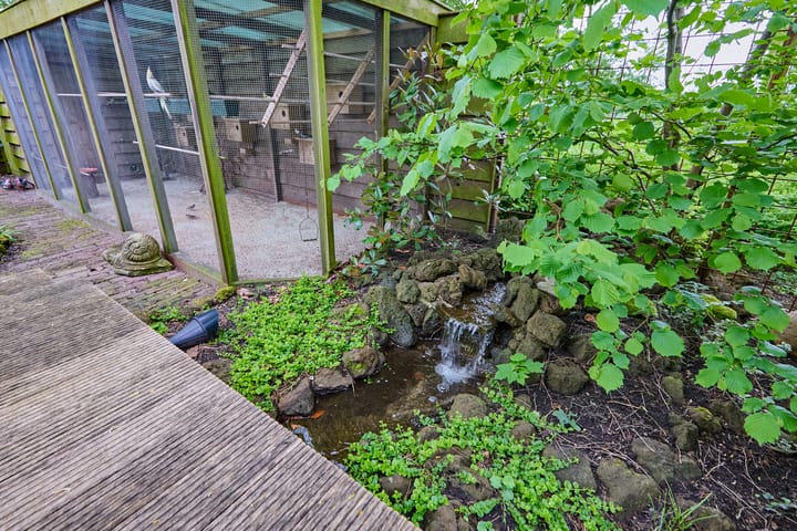 Foto 60 van Standaardmolen 1