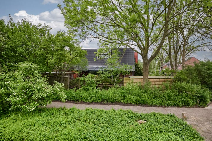 Foto 69 van Standaardmolen 1