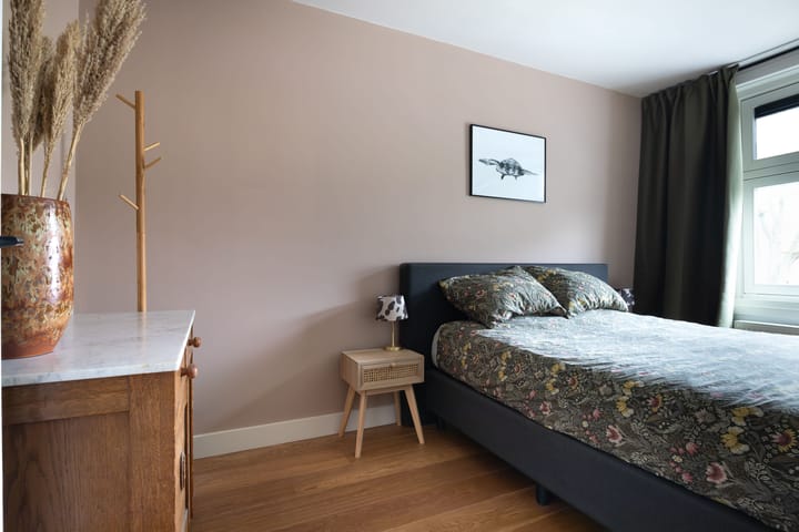 Foto 21 van Oranjeboomstraat 90