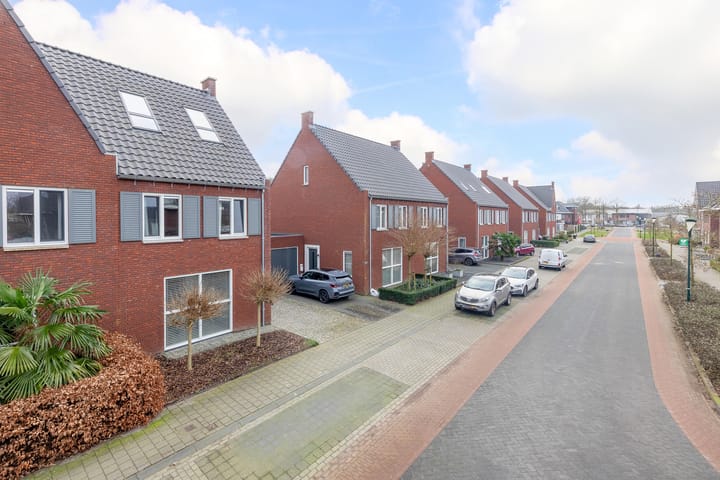 Photo 41 of Boogschutter 50