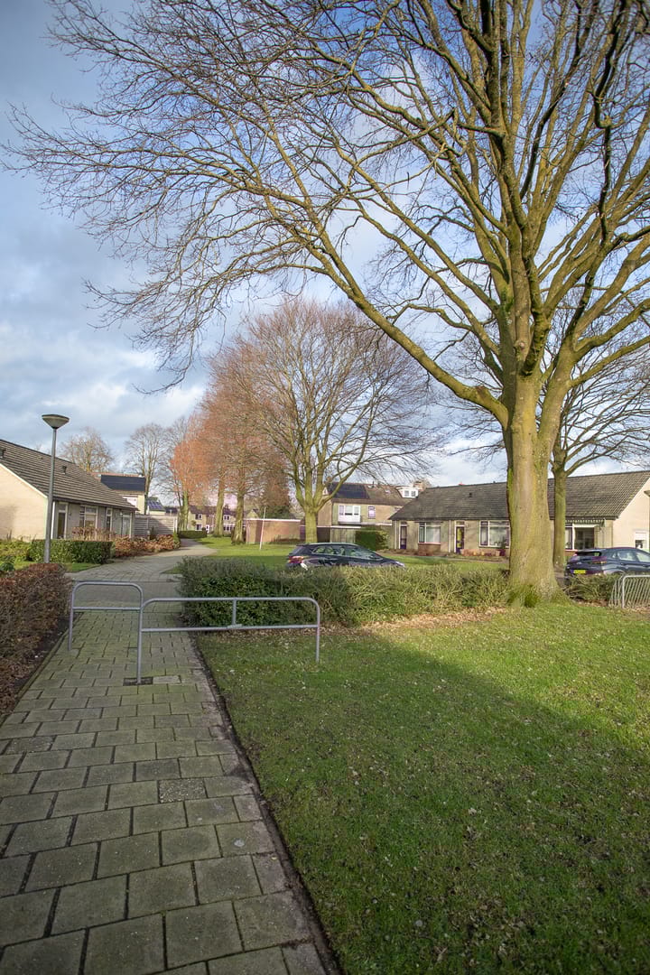 Foto 70 van Irisstraat 12