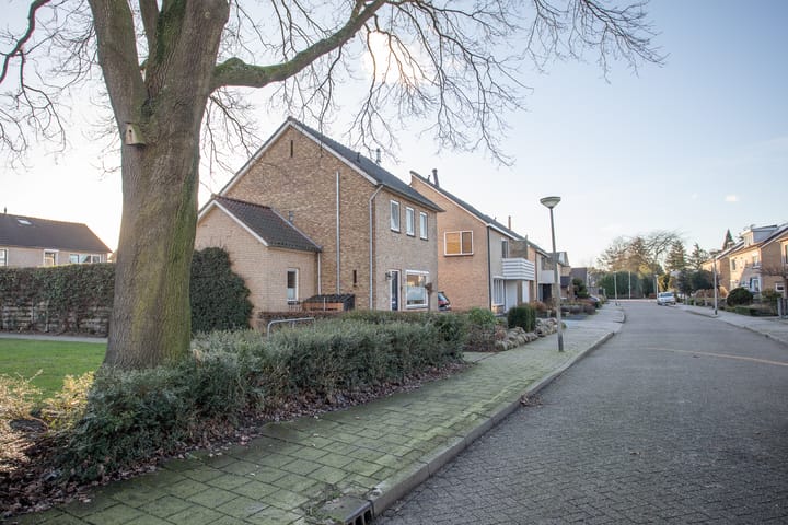 Foto 71 van Irisstraat 12