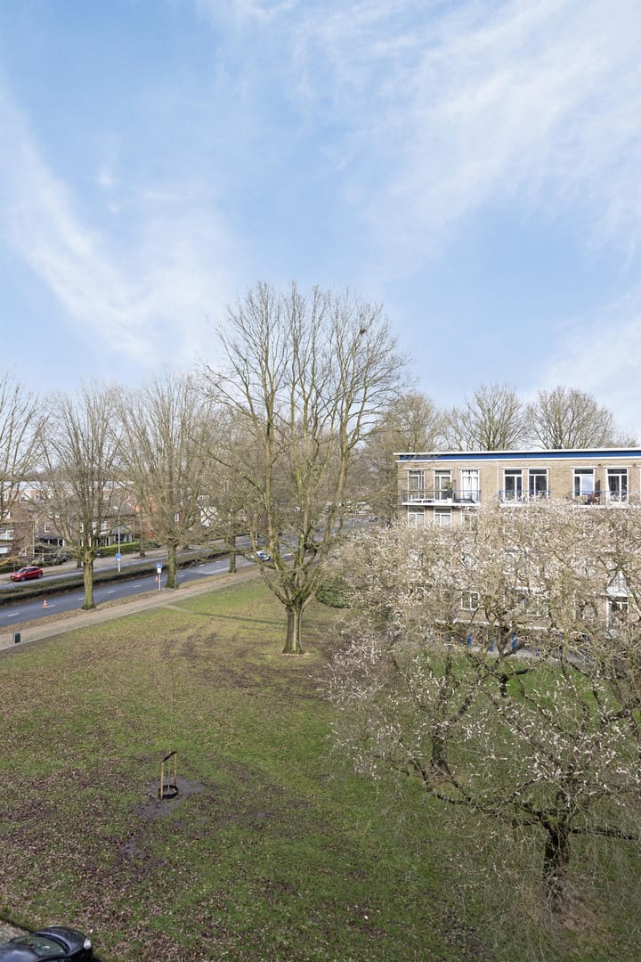 Foto 29 van Loek Lansdorpstraat 15