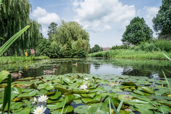 Foto 25 van Vondellaan 145