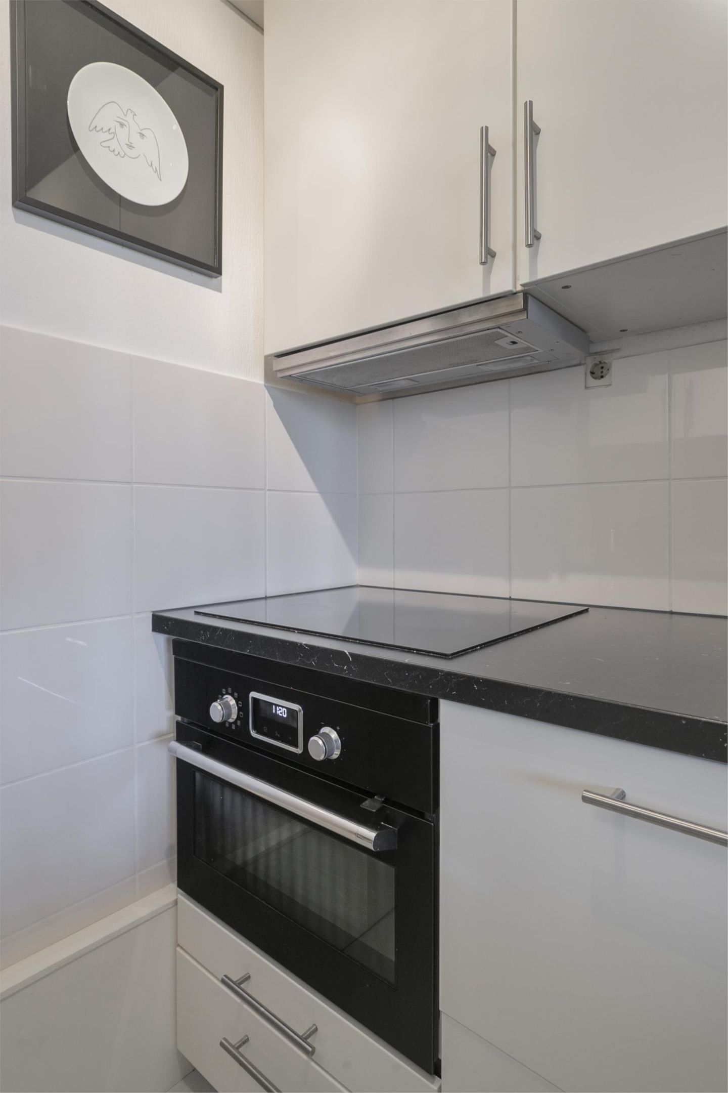 Foto 14 van Euterpedreef 50