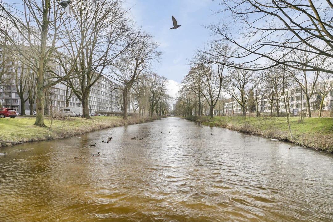 Foto 31 van Euterpedreef 50