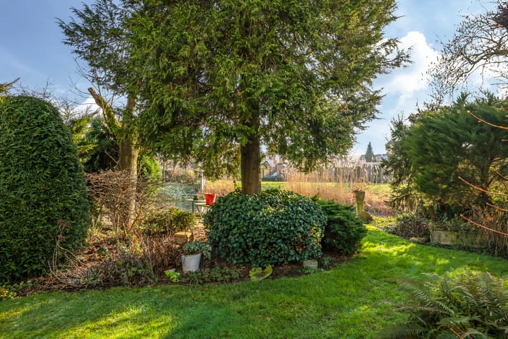 Foto 54 van T.M.C. Asserplantsoen 26