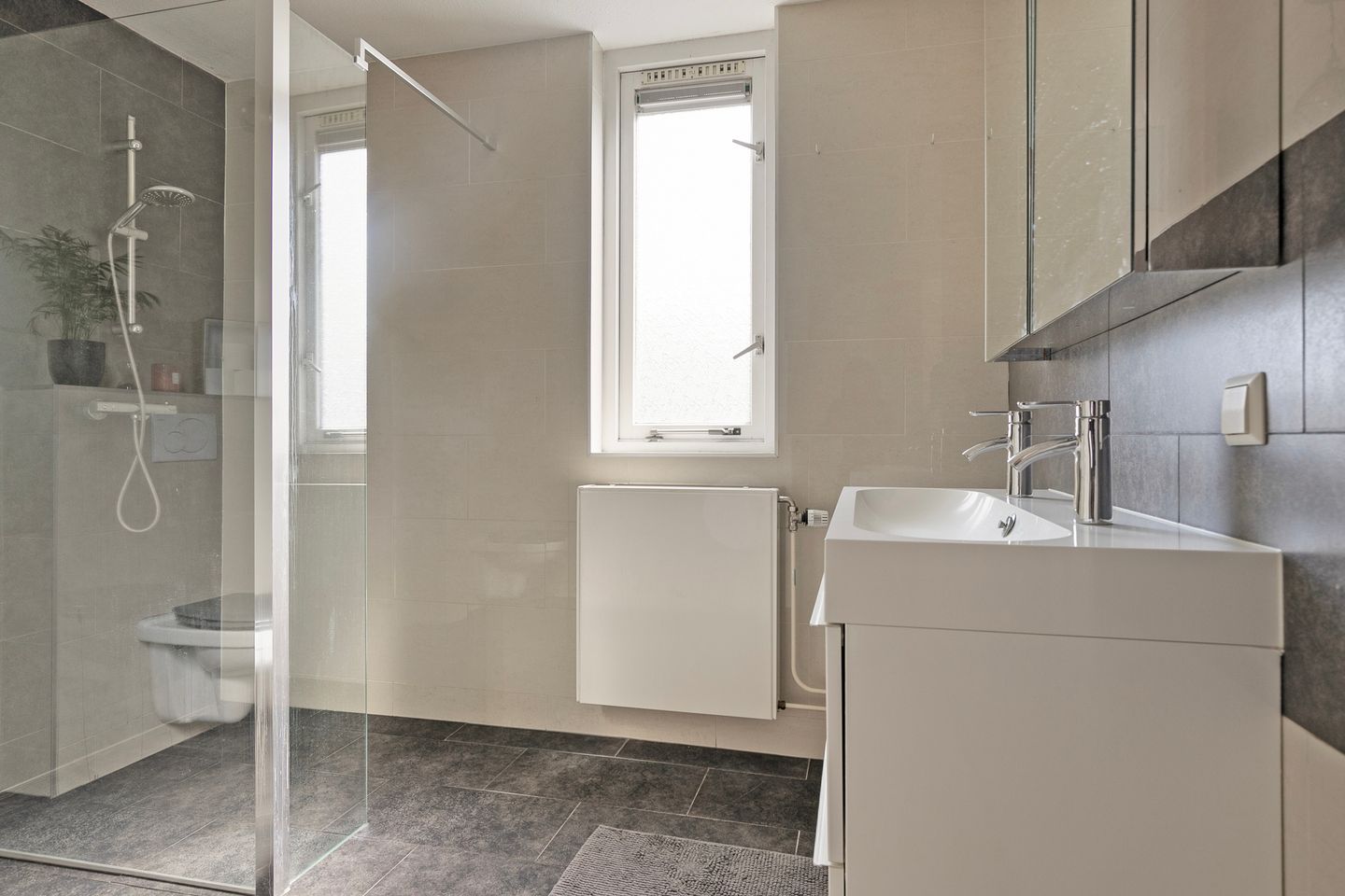 Foto 4 van Rietdekker 12