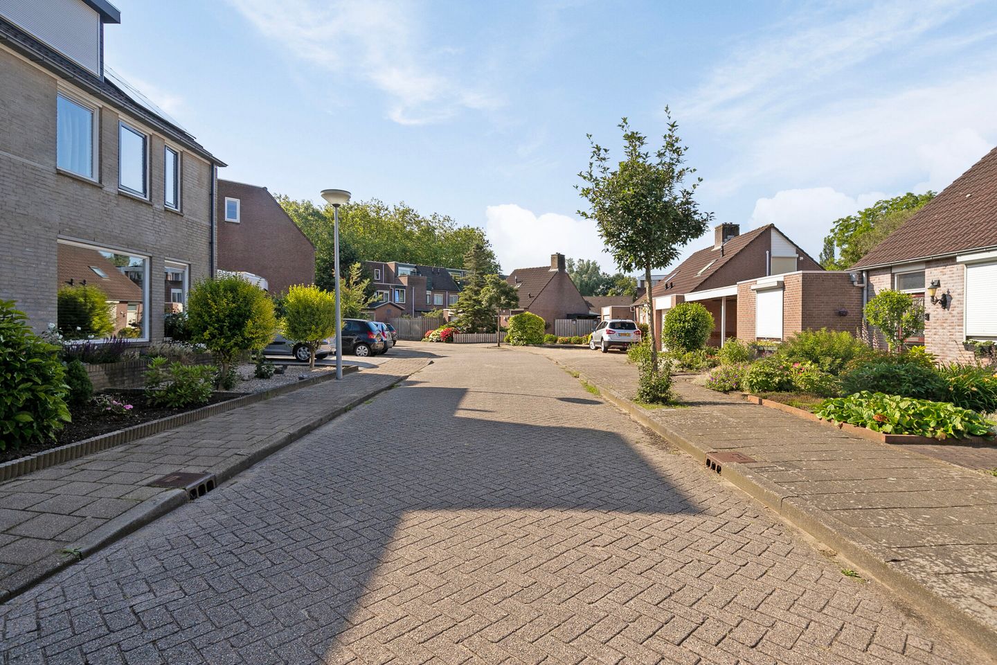 Foto 44 van Rietdekker 12