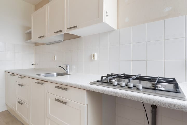 Foto 5 van Nijlânsdyk 197-D