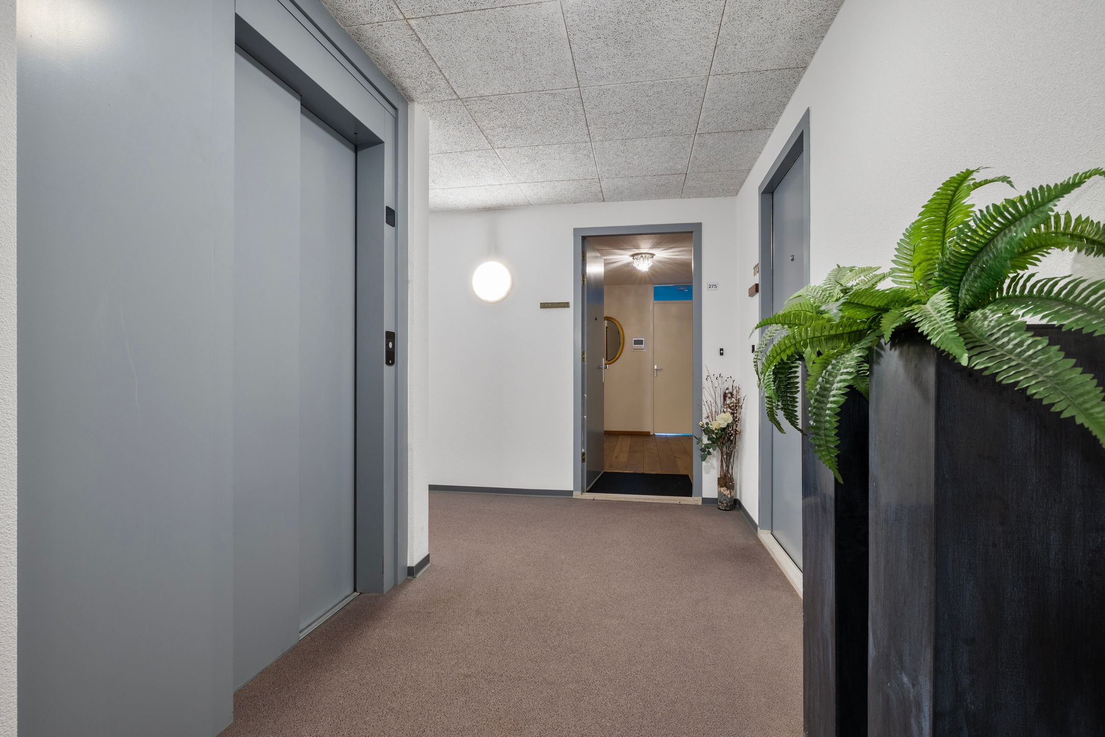 Foto 9 van Rijsenborch 275