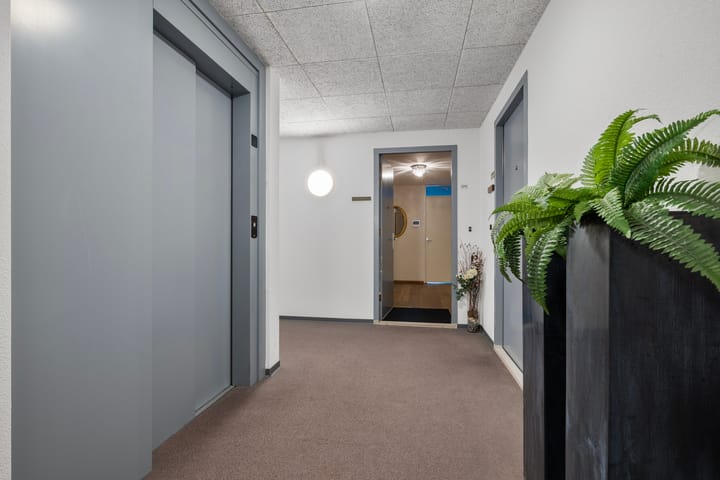 Foto 9 van Rijsenborch 275