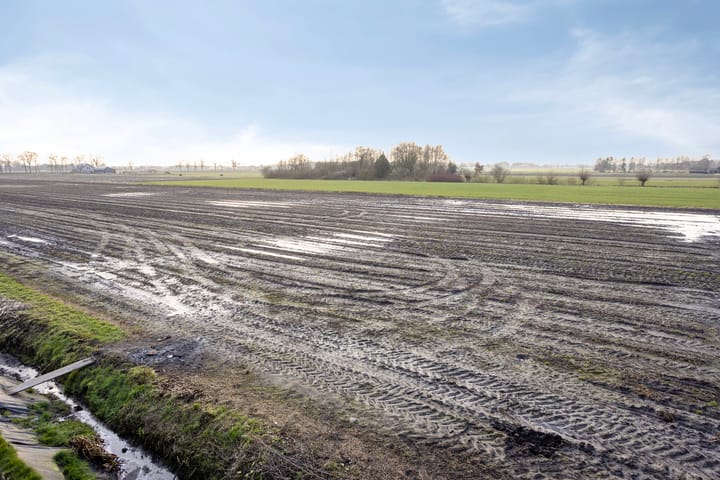 Foto 30 van Riegshoogtendijk 76