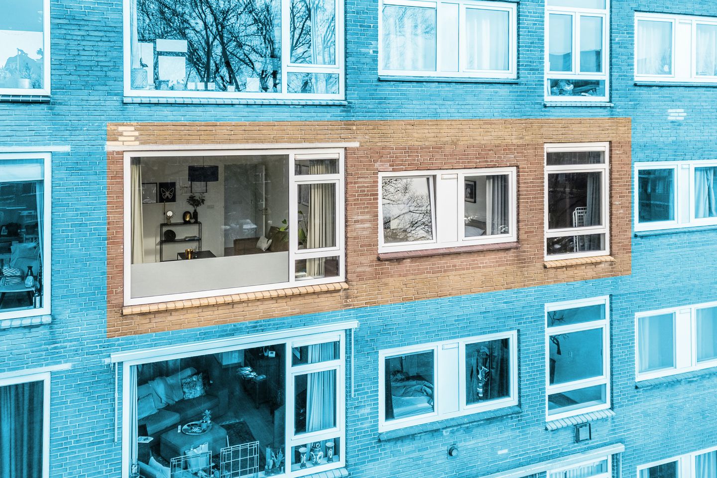 Foto 1 van Looplantsoen 46