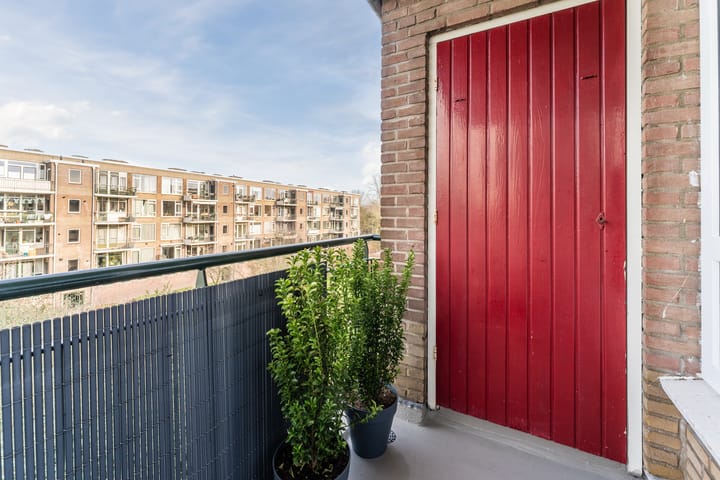 Foto 18 van Looplantsoen 46